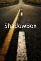 Sarah Swanberg ShadowBox
