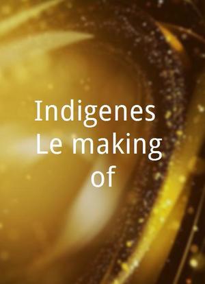 Indigenes: Le making of海报封面图