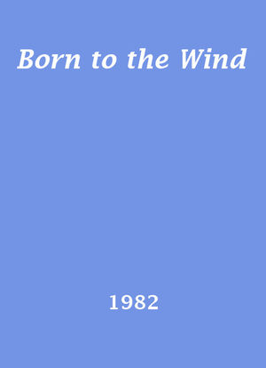 Born to the Wind海报封面图