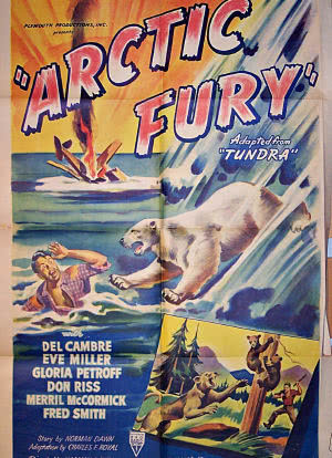 Arctic Fury海报封面图