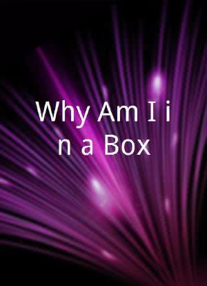 Why Am I in a Box?海报封面图