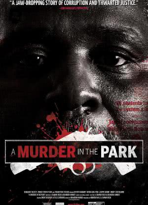 公园里的谋杀海报封面图