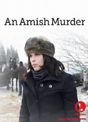 An Amish Murder海报封面图