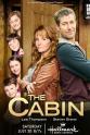 Stephen D'Arcy The Cabin
