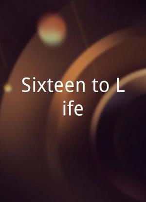 Sixteen to Life海报封面图