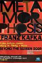 Ian Warwick Metamorphosis: Beyond the Screen Door
