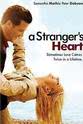Jane Cho A Stranger's Heart