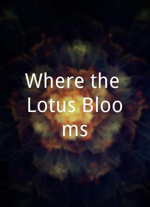 Where the Lotus Blooms海报封面图