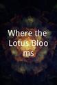 Alex Hales Where the Lotus Blooms