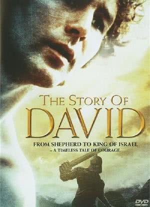 大卫王的故事海报封面图