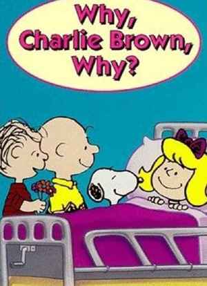 为什么，查理·布朗，为什么？海报封面图