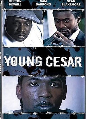 Young Cesar海报封面图