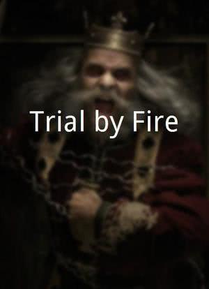 Trial by Fire海报封面图