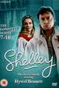 Julia Millbank The Return of Shelley