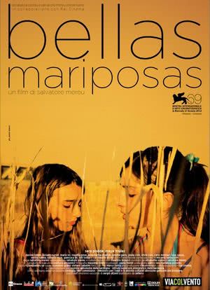 贝拉斯-玛瑞伯萨斯海报封面图