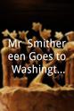 Dennis Diken Mr. Smithereen Goes to Washington