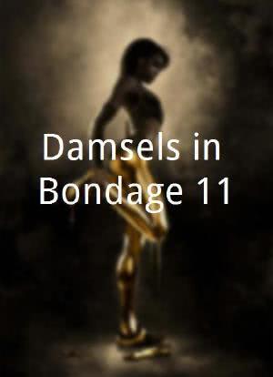 Damsels in Bondage 11海报封面图
