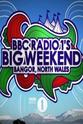 The Fratellis Radio 1's Big Weekend