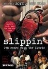 Slippin': Ten Years with the Bloods海报封面图