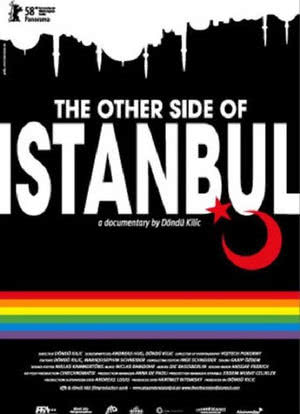 The Other Side of Istanbul海报封面图