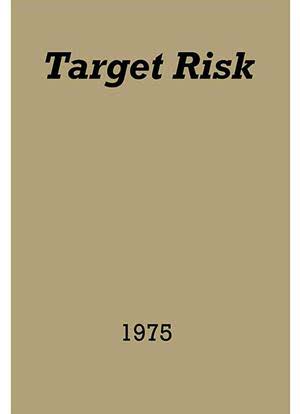 Target Risk海报封面图