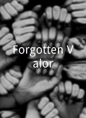 Forgotten Valor海报封面图