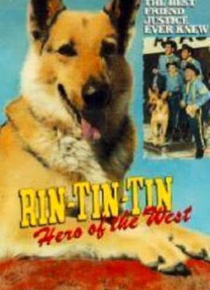 Rin-Tin-Tin: Hero of the West海报封面图