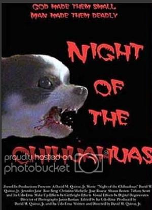 Night of the Chihuahuas海报封面图