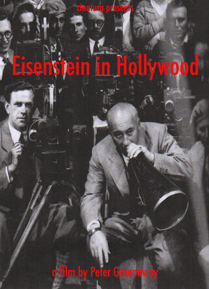 爱森斯坦在好莱坞海报封面图