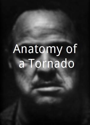 Anatomy of a Tornado海报封面图