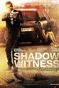 斯科特·齐尔 Shadow Witness