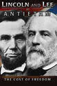 罗纳德·F·麦克斯维尔 Lincoln and Lee at Antietam: The Cost of Freedom