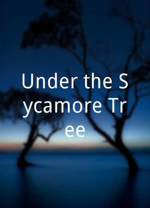 Under the Sycamore Tree海报封面图