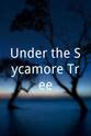 Sean Connor Roche Under the Sycamore Tree
