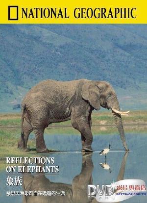 国家地理百年纪念典藏39：象族海报封面图