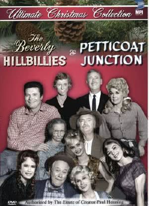 The Beverly Hillbillies海报封面图
