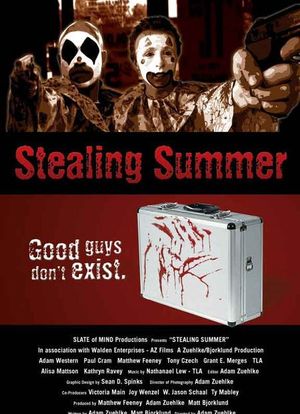 Stealing Summer海报封面图