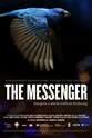 苏·赖纳德 The Messenger