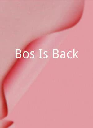 Bos Is Back海报封面图