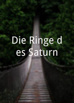 Die Ringe des Saturn海报封面图