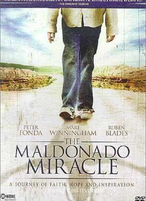 The Maldonado Miracle海报封面图
