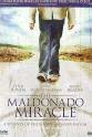 Dennis Saylor The Maldonado Miracle