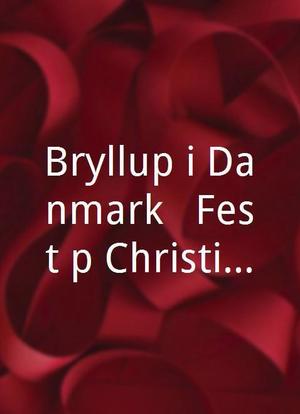 Bryllup i Danmark - Fest på Christiansborg海报封面图