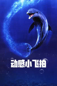 海豚的故事海报封面图