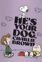 Sally Dryer 你的狗，查理·布朗