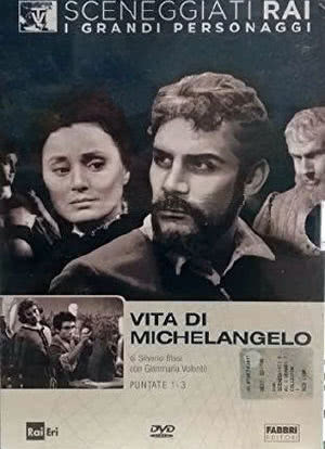 Vita di Michelangelo海报封面图