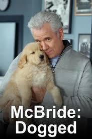 McBride: Dogged海报封面图