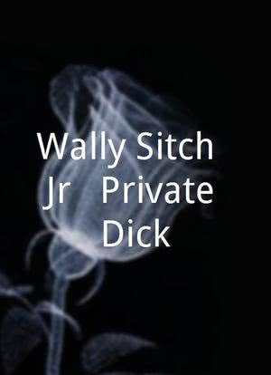 Wally Sitch, Jr.: Private Dick海报封面图