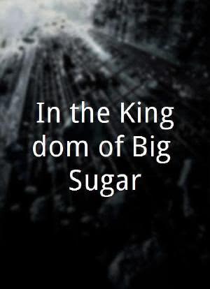 In the Kingdom of Big Sugar海报封面图