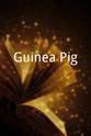 AmberLynn Walker Guinea Pig